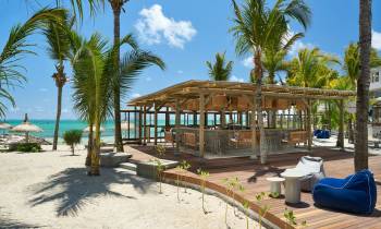 a beach with a palm tree