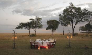Bush dinner