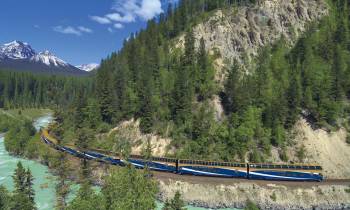 a train traveling down train tracks near a forest