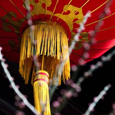Chinese lantern
