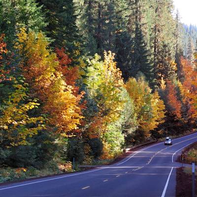Autumn colours along Route 126