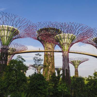 Gardens By the Bay, Singapore