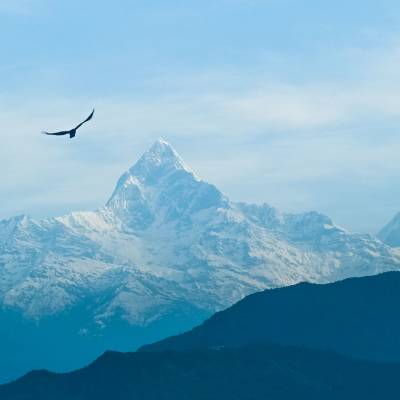 The Himalayas