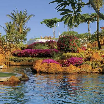 a group of palm trees on the side of a river