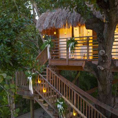 Treehouse