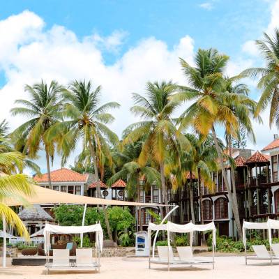 a group of lawn chairs sitting next to a palm tree