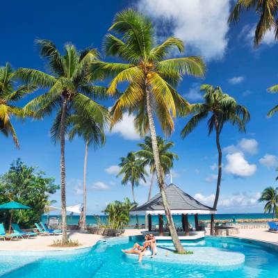 a group of palm trees next to a pool of water