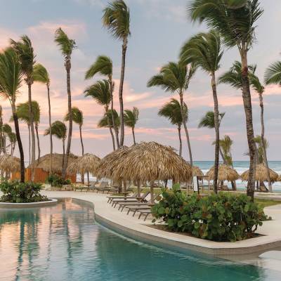 a group of palm trees next to a pool of water