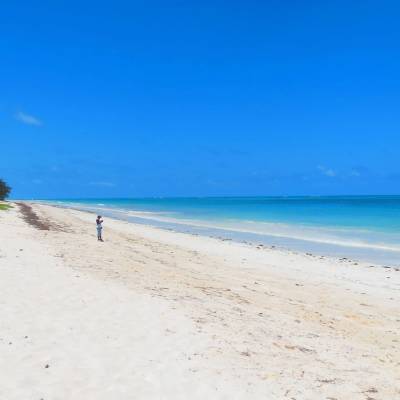 a sandy beach next to the ocean