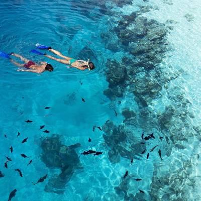 Snorkelling