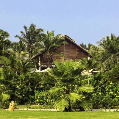 a palm tree in front of a house