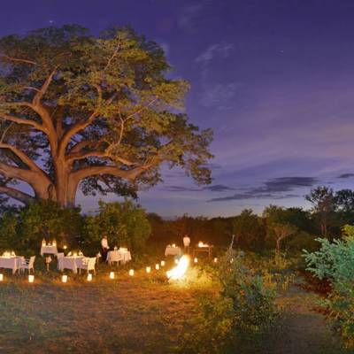 Dinner under the stars