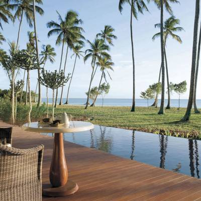 a row of palm trees next to a body of water