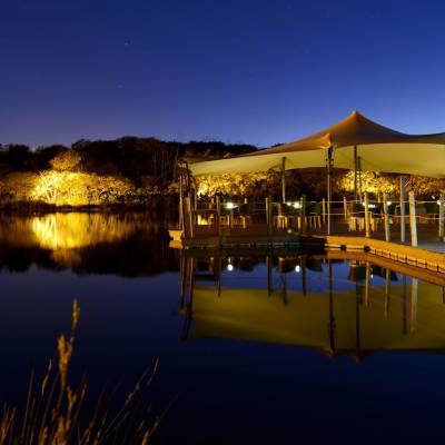 Riviera restaurant