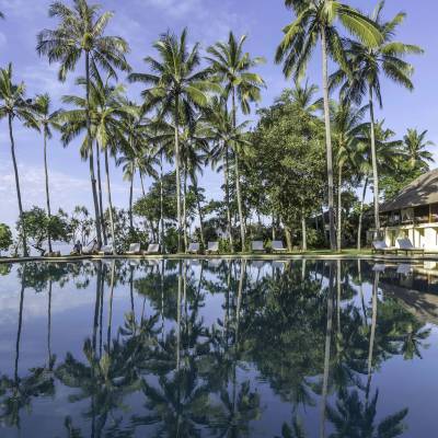 a body of water surrounded by palm trees