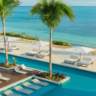 a group of palm trees next to a pool of water