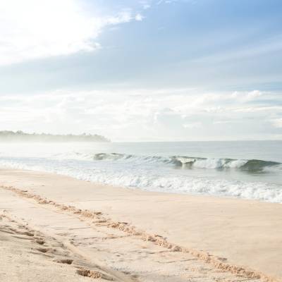a group of people on a beach