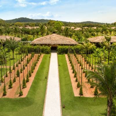 a close up of a garden