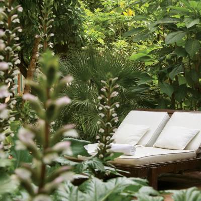 Hotel Gardens