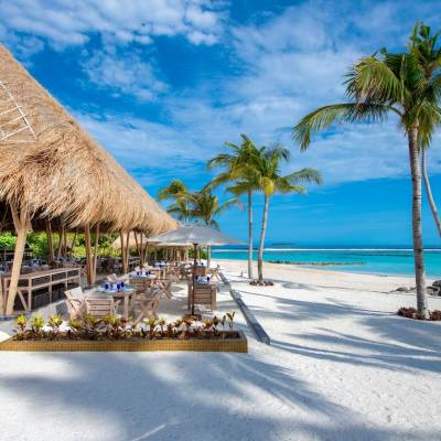 a beach with palm trees