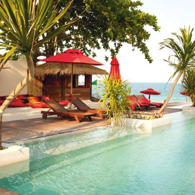 a group of palm trees next to a pool of water