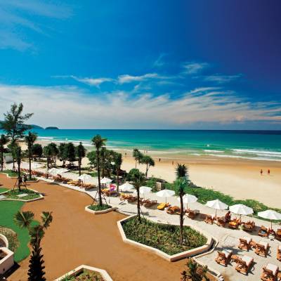 a group of palm trees on a beach near a body of water