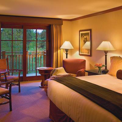 a bedroom with a large bed in a hotel room