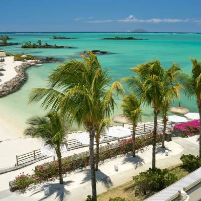a body of water surrounded by palm trees