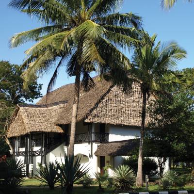 a palm tree in front of a house
