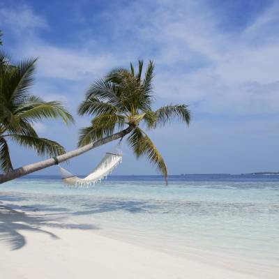 Hammock on the beach