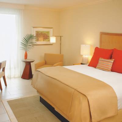 a bedroom with a large bed in a hotel room