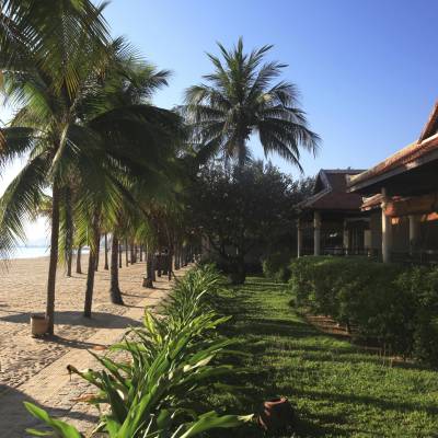 a large lawn in front of a palm tree