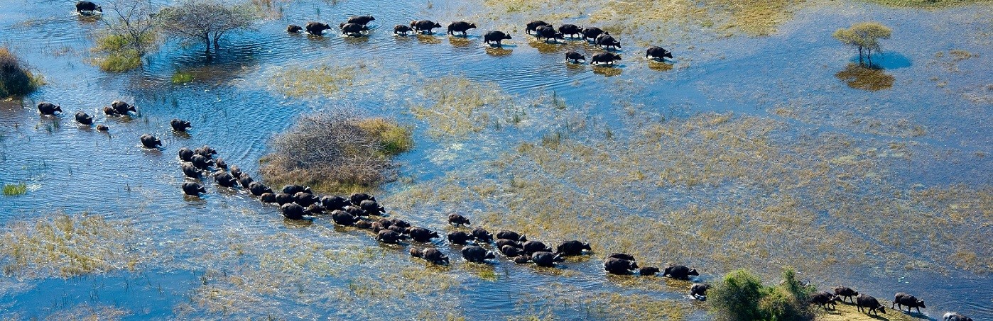 Botswana Okavango Delta - Wilderness Safaris (5) Okavango Delta - Wilderness Safaris Botswana Vacation
