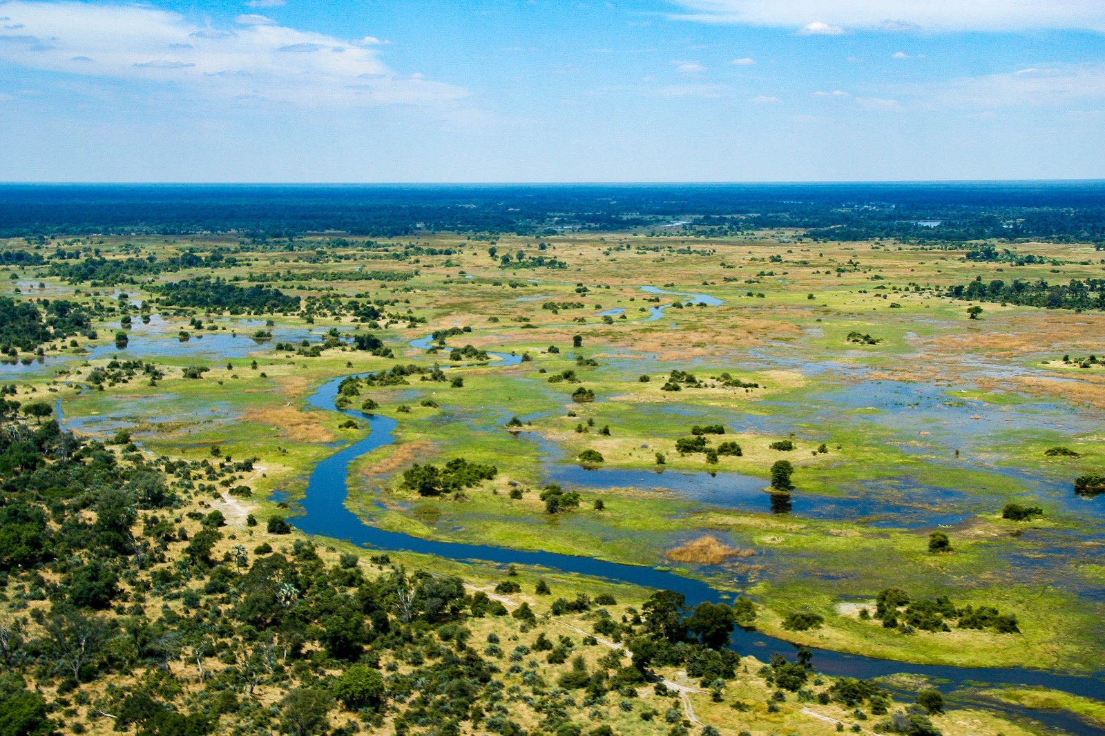 The Okavango Delta, Botswana Okavango Delta in the green season