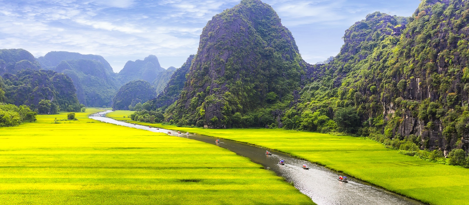 Rice field and river, NinhBinh, vietnam landscapes