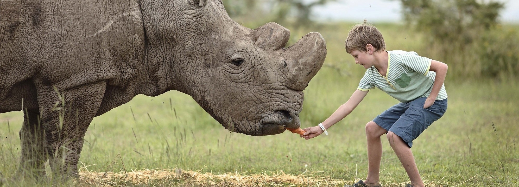 Enchanting Travels Inspiring Encounters OPBC-interacting-with-rhino