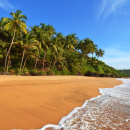 Goa