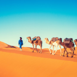 Best time to visit Africa