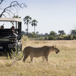 Okavango