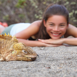 Best time to visit Galapagos