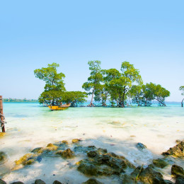Stunning beach at Havelock Island in the Andamans
