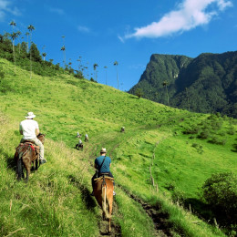 Horse riding, Colombia, South America