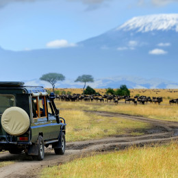 Kenya travel guide