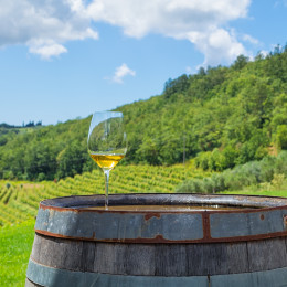 Things to do in Croatia and Slovenia - Istria
