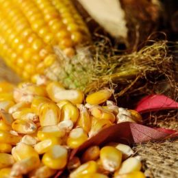 Botswana cuisine