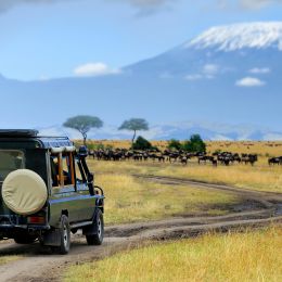 Kenya travel guide