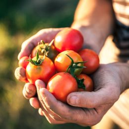 Spanish cuisine - festivals