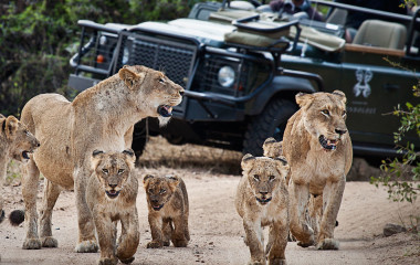 Enchanting-Travels-Africa-South-Africa-Kruger-South-Londolozi-Founders-Camp-5