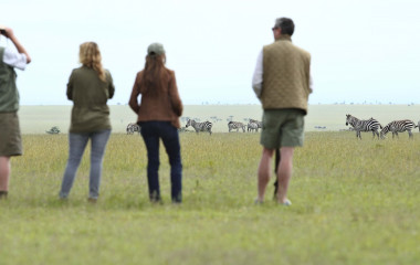 Zebra watching in Laikipia - Ol Pejeta / Solio, Kenya