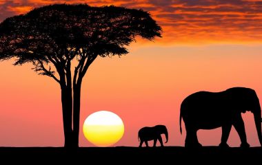 Die Great Migration gehört zu den Tansania Sehenswürdigkeiten schlechthin